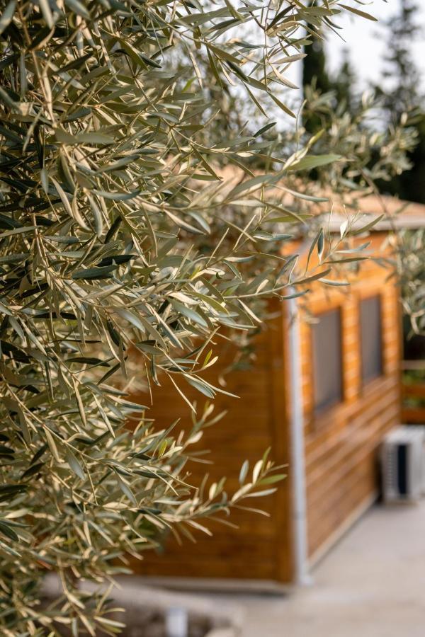 Agrelia Homes Dragano Exterior photo